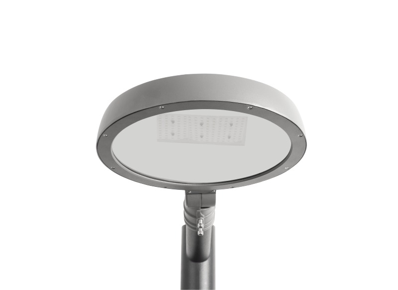 Pan-main